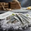 Fresh Anchovy small silver fish displayed on ice in UAE seafood market