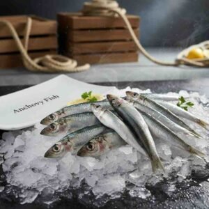 Fresh anchovy fish small silver whole seafood display
