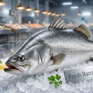 Whole barramundi fish isolated on white background high quality fish