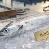 Fresh Beltfish (سمك الحزام) long silver ribbon fish displayed on ice in UAE seafood market