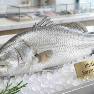 Fresh Bhetki / Barramundi Fish (بهراموندي / بهتكي سمك) whole fish on ice in UAE seafood market