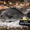 Fresh Black Pomfret (Halwa Black – حلوا أسود) whole fish on ice in UAE seafood market