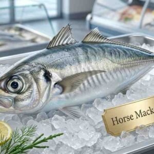 Fresh horse mackerel whole fish with silver body and yellow tail