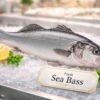 Fresh sea bass whole fish with silver skin premium seafood display