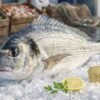 Fresh sea bream (denis fish) whole silver fish seafood display