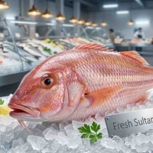 Close-up of Sultan Ibrahim fish showing red skin and fine texture