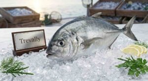Fresh trevally ready for grilling and frying ocean fish