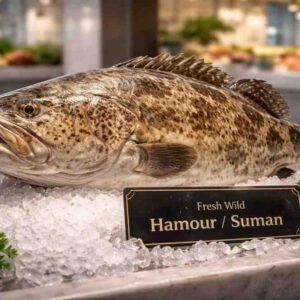 Fresh Wild Hamour / Suman (هامور بري / سومان) whole grouper fish on ice in UAE seafood market