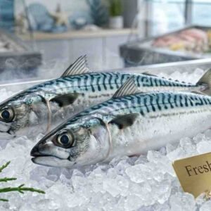 Fresh small mackerel whole fish silver striped seafood display