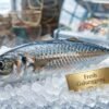 Fresh galunggong round scad fish with silver body and yellow tail