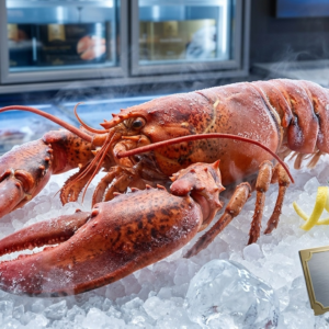 Frozen Lobster (كركند مجمّد) whole lobster in sealed packaging with frost for premium seafood storage