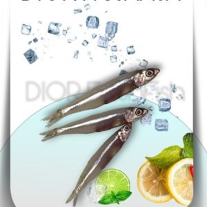 Anchovy / Natholi (Large)