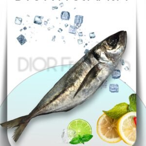 Fresh Horse Mackerel