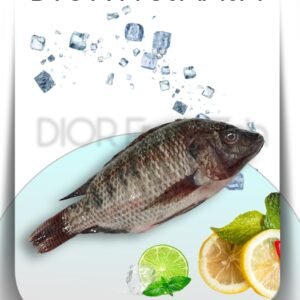 Frozen Tilapia