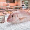 Pink perch fish styled as a royal sultan with ornate details and vibrant colors