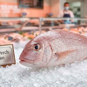 Pink perch fish styled as a royal sultan with ornate details and vibrant colors