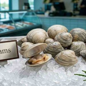 Premium Clams fresh live clams displayed on ice in shell seafood market UAE