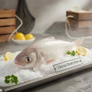 Fresh Cream Dory Fish (سمك دوري) whole chilled fish displayed on ice in UAE seafood market