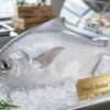 Fresh Butter Fish (Zubaidi – زبيدي) whole pomfret fish displayed on ice in UAE seafood market