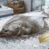 Fresh farsh fish whole body silver marine fish seafood display