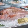 Fresh pinjalo fish ready for grilling frying and cooking
