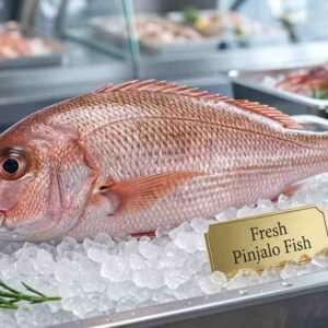 Fresh pinjalo fish ready for grilling frying and cooking