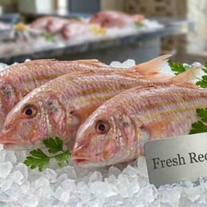 Fresh red mullet fish whole body red scales premium seafood display