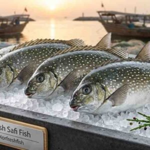 Fresh safi fish ready for frying grilling and cooking
