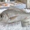 Fresh sheri fish whole body silver elongated seafood display