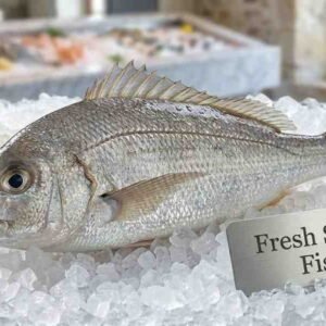 Fresh sheri fish whole body silver elongated seafood display