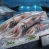 Fresh squid ready for frying grilling and calamari dishes