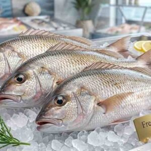 Fresh yanam fish ready for frying grilling and cooking