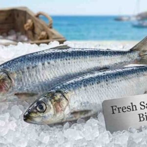 Fresh big sardine fish whole body silver scales seafood display
