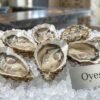 Premium Fresh Oyster luxury seafood served on ice with lemon wedges in UAE fine dining style