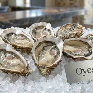 Premium Fresh Oyster luxury seafood served on ice with lemon wedges in UAE fine dining style