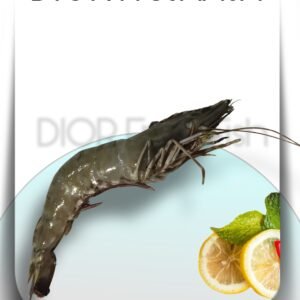 Tiger Shrimps Vietnam Frozen