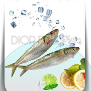 Fresh Sardine Big