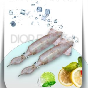Fresh Squid Fish