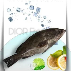 fresh-wild-hamour-fish-nutrition