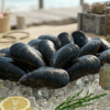 Fresh-Chilean-Black-Mussels
