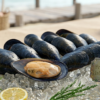 Fresh-Premium-Half-Shell-Mussels