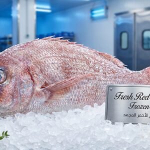 Fresh-Red-Seabream-Frozen-UAE