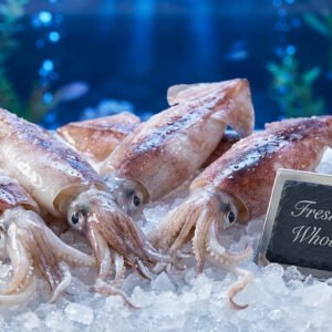 Fresh Frozen Whole Squid (Calamari – حبار كامل) - Buy Online in UAE or Dubai