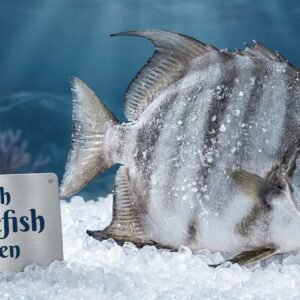 Fresh Spadefish (Frozen)