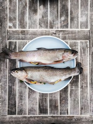 Fresh fish