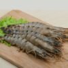 Black Tiger Shrimp UAE