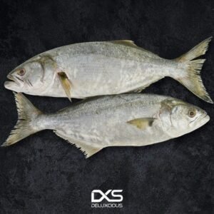 Buy Taqwa Fish in Dubai, UAE