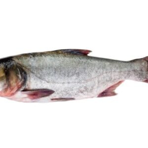 Silver Fish UAE