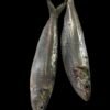 Fresh Big Sardines UAE