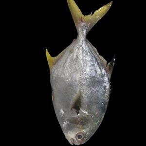 Pompano Fish UAE